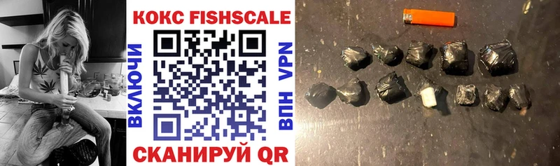 Cocaine FishScale  ОМГ ОМГ как зайти  Цивильск 