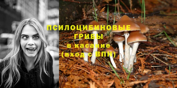 2c-b Балахна