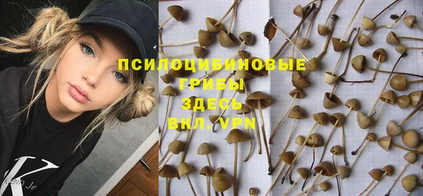 apvp Баксан
